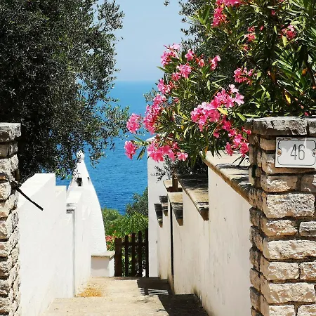 Sea View By Wowhomes *